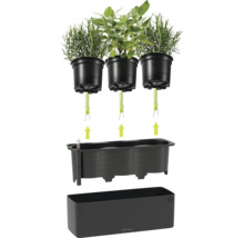 Système d'arrosage automatique Lechuza pour trois pots d'herbes avec mèches, insert noir avec indicateur de niveau d'eau et bac rectangulaire.