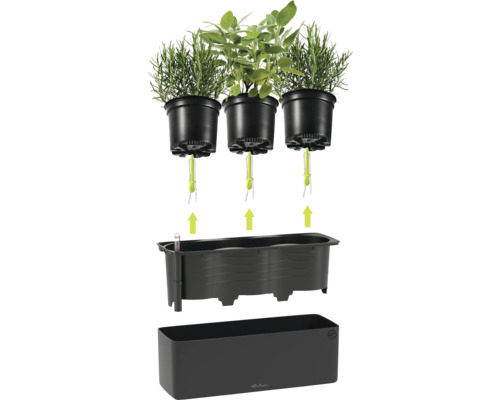 Système d'arrosage automatique Lechuza pour trois pots d'herbes avec mèches, insert noir avec indicateur de niveau d'eau et bac rectangulaire.