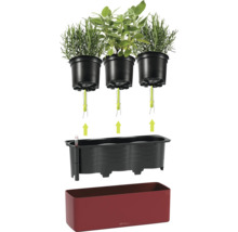 Jardinière à herbes Lechuza avec système d'arrosage par mèche, trois pots de culture, indicateur de niveau d'eau et bac rouge grenat.