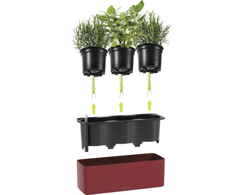 Jardinière à herbes Lechuza avec système d'arrosage par mèche, trois pots de culture, indicateur de niveau d'eau et bac rouge grenat.