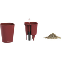 Kit de pot de fleurs Lechuza avec bac d insertion, indicateur de niveau d eau et substrat pour plantes.