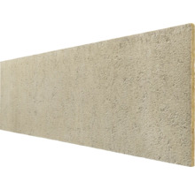 Rechteckige Fassadenplatte mit grober, strukturierter Oberfläche.