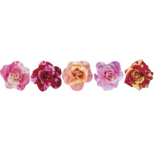 Cinq fleurs de roses différentes avec divers motifs et formes de pétales.