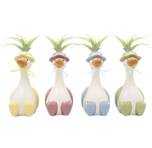 Quatre canards décoratifs en céramique avec des plantes aériennes Tillandsia en différentes couleurs pastel.