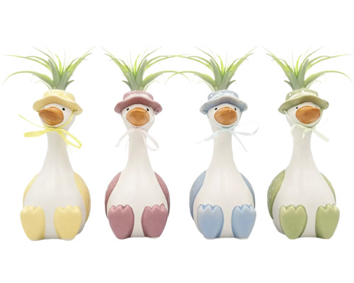 Quatre canards décoratifs en céramique avec des plantes aériennes Tillandsia en différentes couleurs pastel.