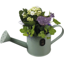 Composition florale avec Kalanchoé blanc et lierre vert dans un arrosoir décoratif en métal avec un pic en forme d'oiseau.