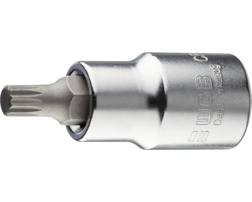 Douille tournevis à denture multiple WGB en acier chrome-vanadium.