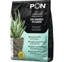 Substrat minéral pour plantes Lechuza PON pour plantes sensibles, sans tourbe, pour une aération optimale des racines et contre les sciarides.