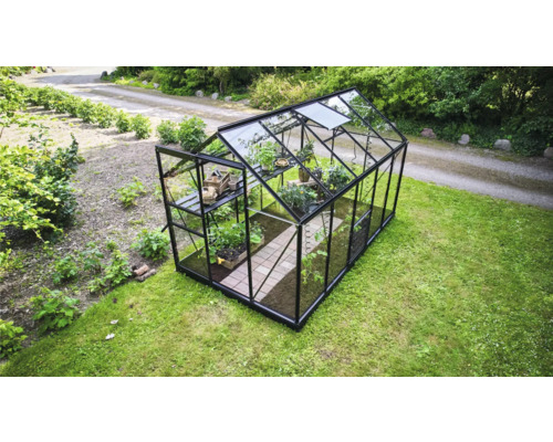 Serre de jardin moderne avec cadre en aluminium noir et parois en verre, équipée d étagères et de plantes.