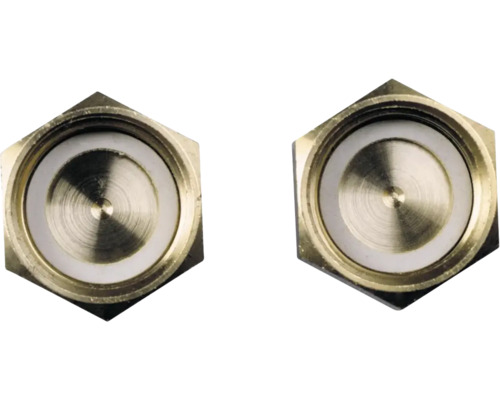 Deux bouchons hexagonaux en laiton avec joint interne pour installations sanitaires.