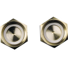 Deux bouchons hexagonaux en laiton avec joint blanc.