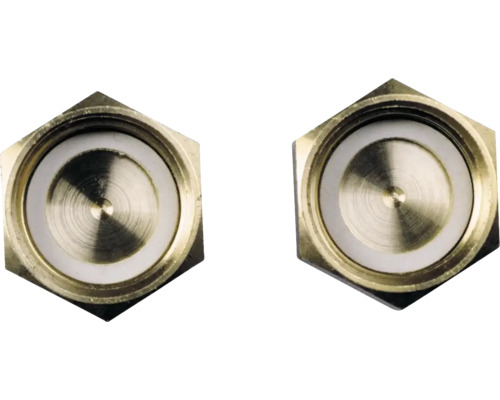 Deux bouchons hexagonaux en laiton avec joint blanc.