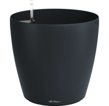 Pot de fleurs rond Lechuza Classico noir avec système d'arrosage intégré et indicateur de niveau d'eau.
