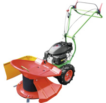 Motofaucheuse Agria avec faucheuse rotative rouge, châssis vert et moteur noir.