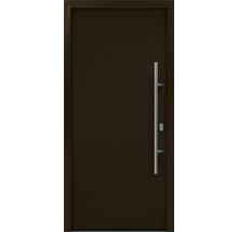 Braune Haustür mit Griff