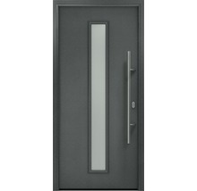 Haustür mit Glaseinsatz und Stangengriff