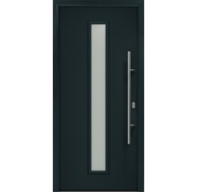 Haustür mit Glaseinsatz und Griffstange