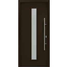 Haustür mit Glaseinsatz und Griff
