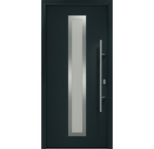 Haustür mit Glaseinsatz und Griff