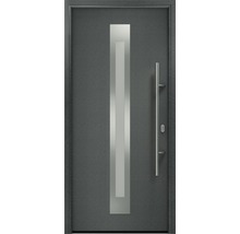 Haustür mit Glaseinsatz und Griff