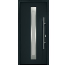 Moderne Haustür mit Edelstahlgriff und Glaseinsatz
