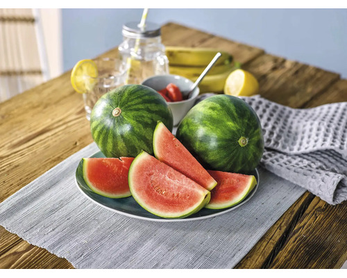 Deux pastèques entières et plusieurs tranches de pastèque sur une assiette posée sur une table en bois avec des fruits frais et des boissons.