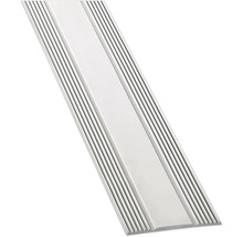Übergangsprofil aus Aluminium mit geriffelten Rändern.