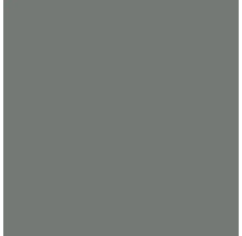 Échantillon de couleur gris pour peinture murale ou vernis.