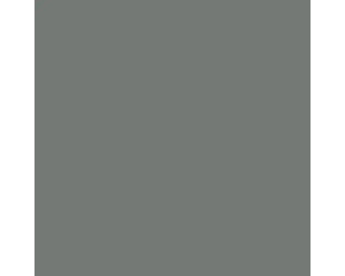Échantillon de couleur gris pour peinture murale ou vernis.