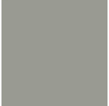 Échantillon de couleur gris pour peinture murale ou vernis.