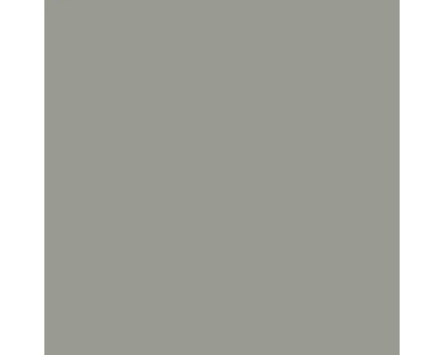Échantillon de couleur gris pour peinture murale ou vernis.
