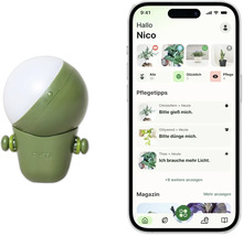 FYTA Pflanzensensor in Olivgrün mit FYTA Logo neben einem Smartphone mit der FYTA App für Pflanzenpflege und Pflegetipps.