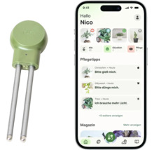 Capteur de plantes FYTA Beam avec smartphone et application pour le suivi des plantes et conseils d'entretien.