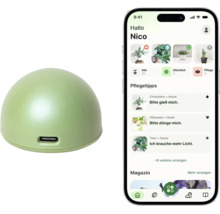 Grüner kuppelförmiger Pflanzensensor mit USB C Anschluss und Smartphone mit App für Pflegetipps und Überwachung.