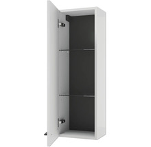 Armoire suspendue de salle de bains avec porte ouverte, deux étagères en verre, corps blanc et fond sombre.