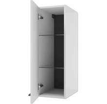 Armoire suspendue pour salle de bain avec porte ouverte, deux étagères en verre et paroi arrière foncée.