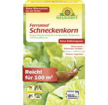 Granulés anti-limaces Neudorff Ferramol pour légumes et plantes d'ornement, couvre 100 mètres carrés, résistant à la pluie et sans danger pour les animaux.