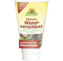 Neudorff Malusan Wundverschluss in der gebrauchsfertigen Pinseltube für Obst- und Ziergehölze zur Unterstützung der Wundheilung.