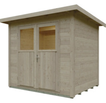 Abri de jardin en bois avec toit en pente et double porte vitrée.
