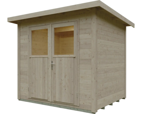 Abri de jardin en bois avec toit en pente et double porte vitrée.