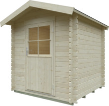 Abri de jardin en bois naturel avec toit à deux pans et porte simple vitrée.