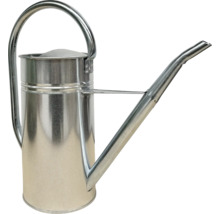 Gießkanne aus Metall mit langem Ausguss und Griff.