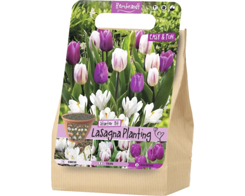 Kit de démarrage Rembrandt Lasagna Planting avec des bulbes de crocus, de tulipes et de jacinthes pour une plantation en couches.