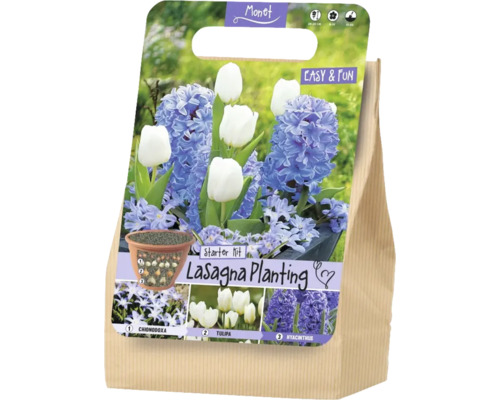 Monet Logo. Kit Lasagna Planting avec bulbes de Chionodoxa, tulipes et jacinthes. Schéma de plantation en couches, floraison de février à avril.