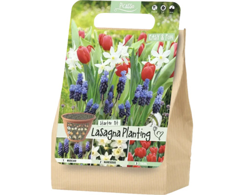 Kit de démarrage Picasso Lasagna Planting pour la plantation en couches avec des bulbes de Muscari, de narcisses et de tulipes.