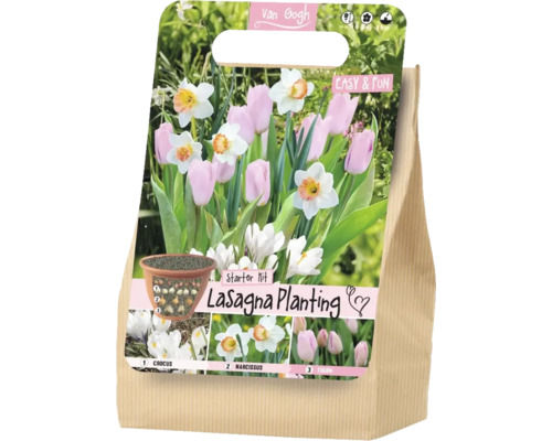 Kit de démarrage Van Gogh pour la plantation en lasagne avec des bulbes de crocus, narcisses et tulipes.