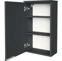 Hängeschrank mit einer offenen Tür, zwei Einlegeböden, anthrazitfarbenes Äußeres und weißes Inneres.