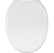 Abattant de WC avec couvercle blanc, forme ovale, surface lisse.