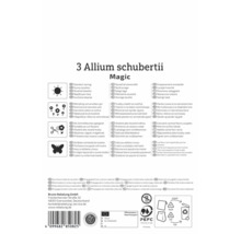 Verso Allium schubertii Magic: emplacement ensoleillé, vivace, fleurs coupées, favorable aux insectes, logo PEFC et Bruno Nebelung Logo.