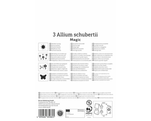 Verso Allium schubertii Magic: emplacement ensoleillé, vivace, fleurs coupées, favorable aux insectes, logo PEFC et Bruno Nebelung Logo.
